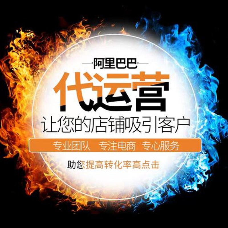 湖南电子商务公司的崛起:数字化转型与创新探索